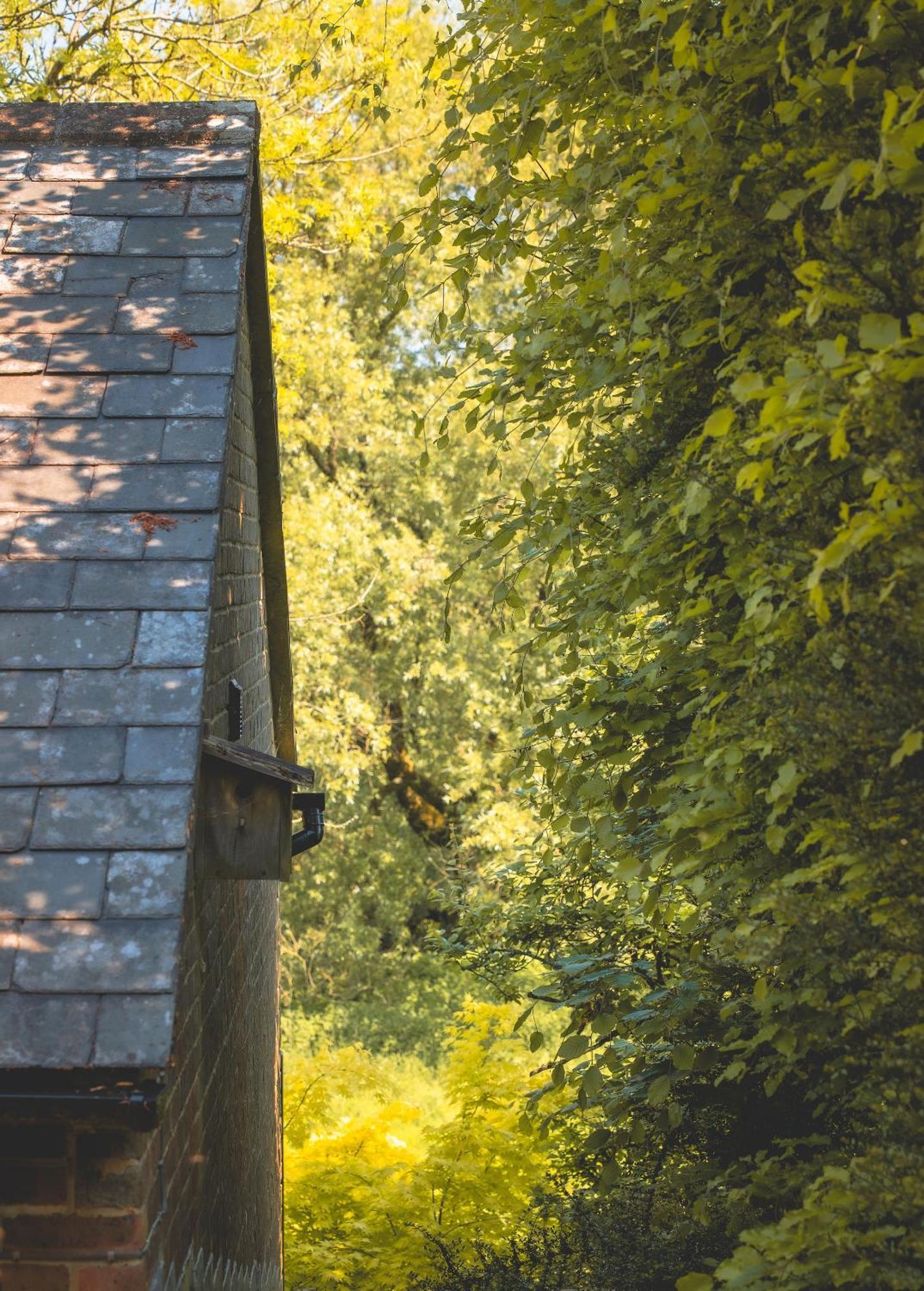 Waterfield House B&B Dorchester Exteriör bild